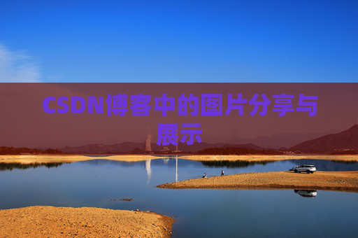 CSDN博客中的图片分享与展示